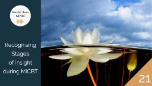 Masterclass 21: Recognising Stages of Insight during MiCBT
